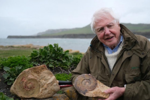Attenborough și monstrul marin preistoric